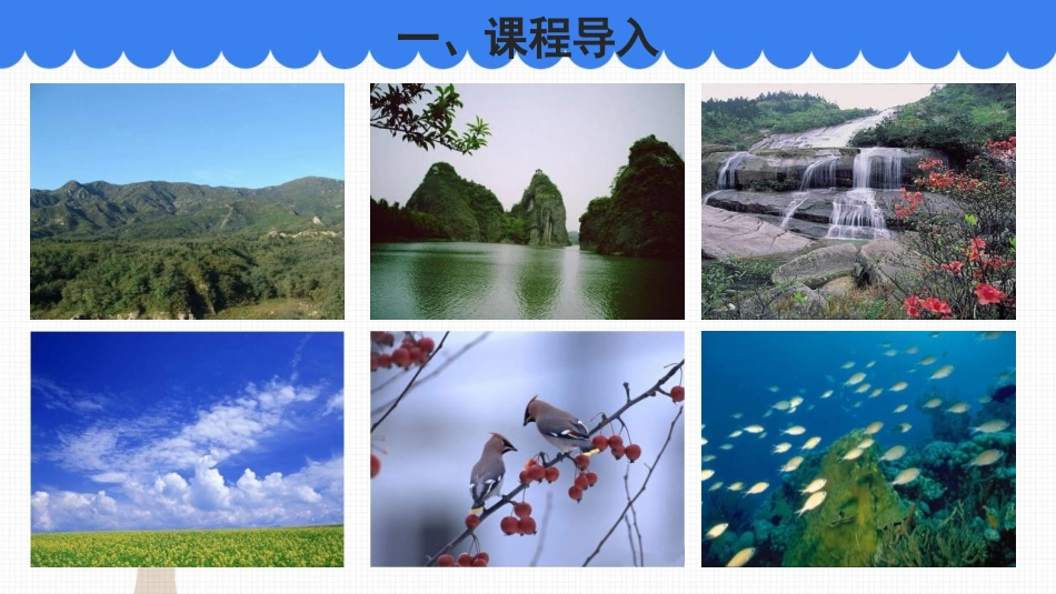 《人类活动对生物圈的影响》PPT优秀课件[北师大版七年级生物]_第2页