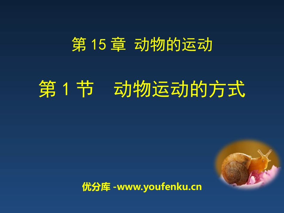 《动物运动的方式》PPT教学课件[北师大版八年级生物上册]_第1页