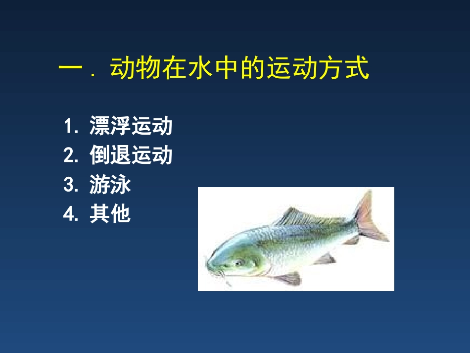 《动物运动的方式》PPT教学课件[北师大版八年级生物上册]_第3页
