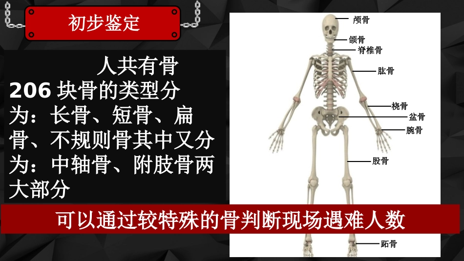 《动物运动的形成》PPT教学课件[北师大版八年级生物上册]_第3页