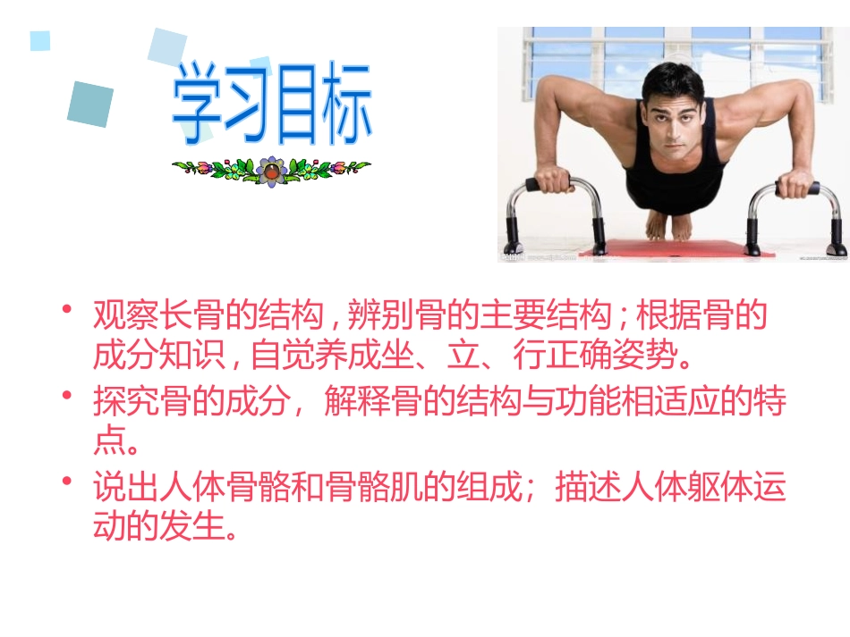 《动物运动的形成》PPT课件[北师大版八年级生物上册]_第2页