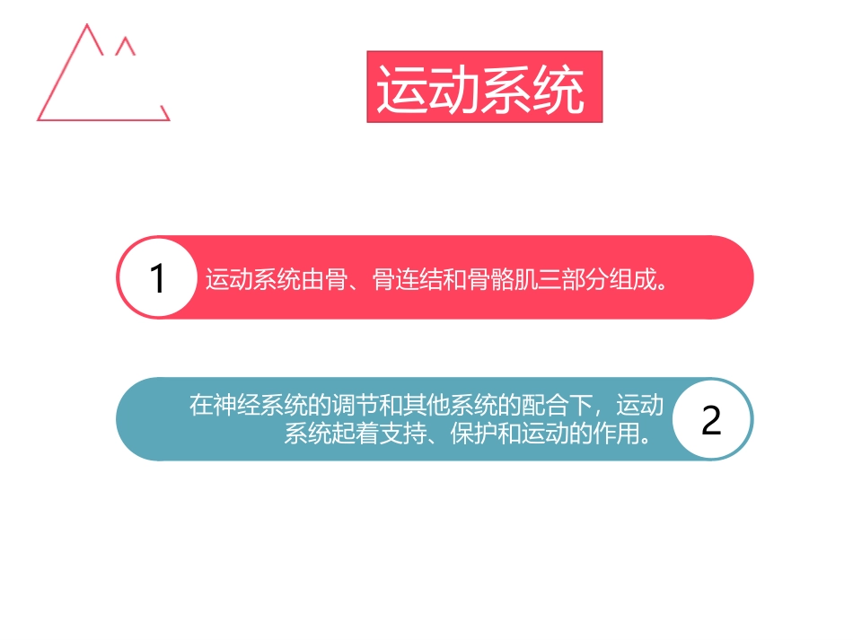 《动物运动的形成》PPT课件[北师大版八年级生物上册]_第3页