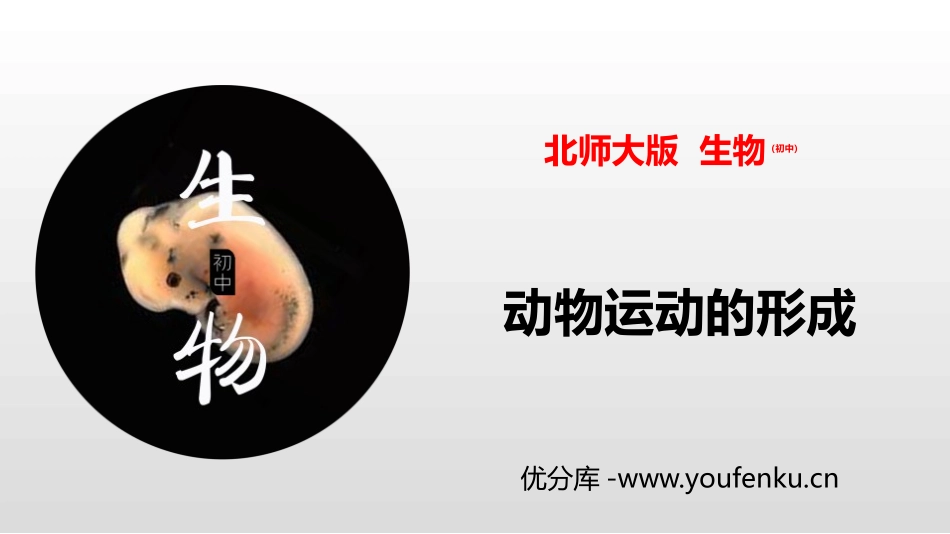 《动物运动的形成》PPT免费课件[北师大版八年级生物上册]_第1页