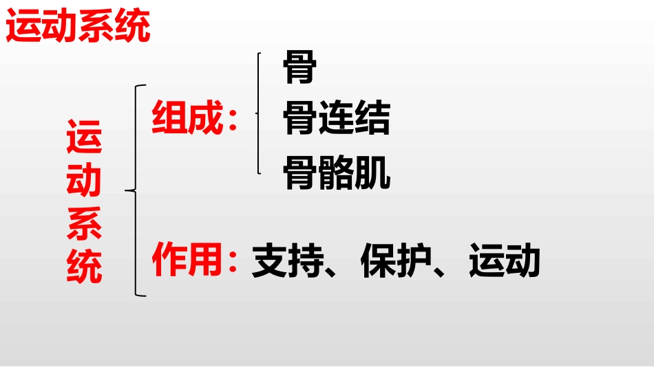 《动物运动的形成》PPT免费课件[北师大版八年级生物上册]_第3页