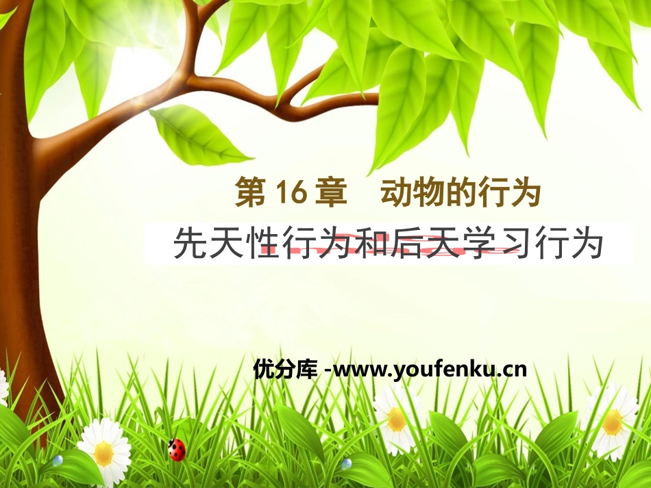 《先天性行为和后天学习行为》PPT课件[北师大版八年级生物]_第1页