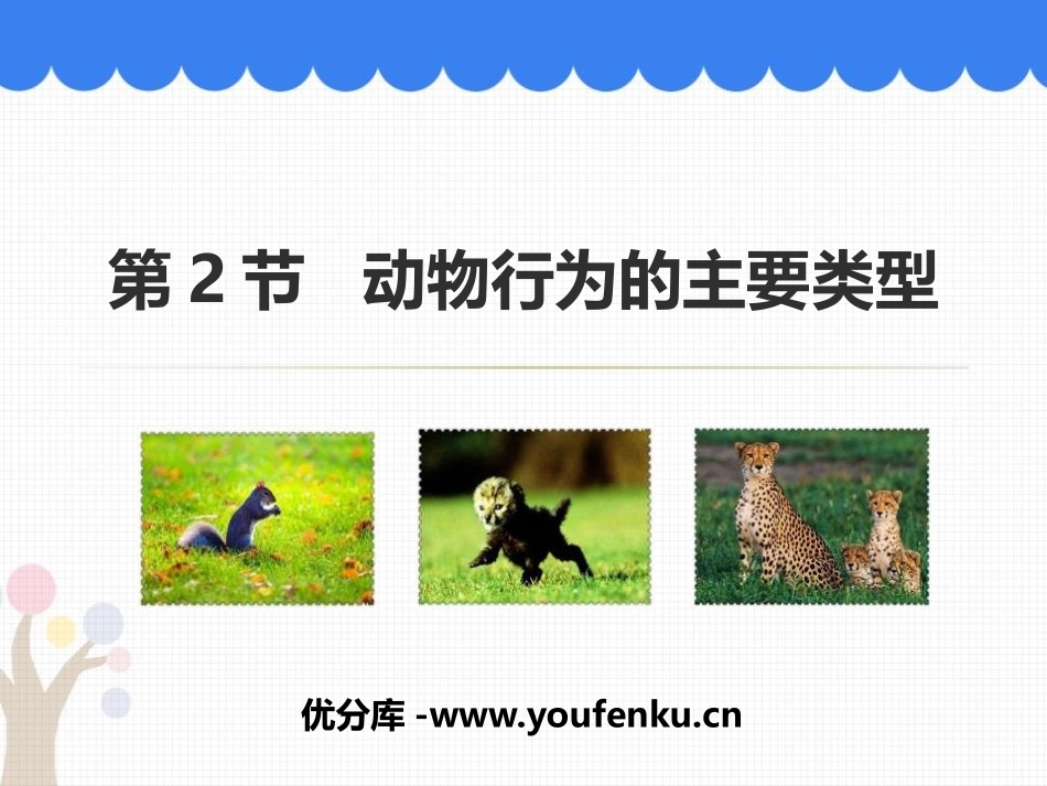 《动物行为的主要类型》PPT优秀课件[北师大版八年级生物]_第1页