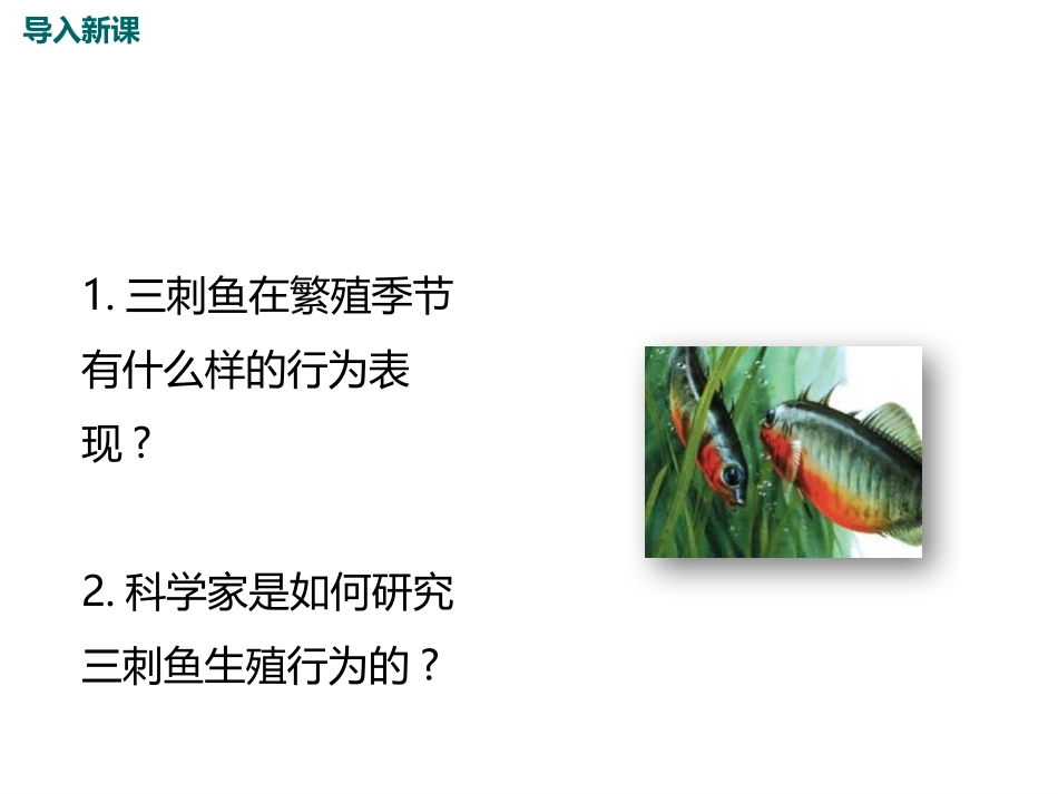 《动物行为的研究》PPT教学课件[北师大版八年级生物上册]_第2页