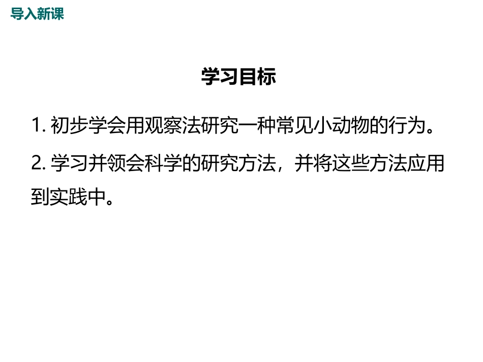 《动物行为的研究》PPT教学课件[北师大版八年级生物上册]_第3页