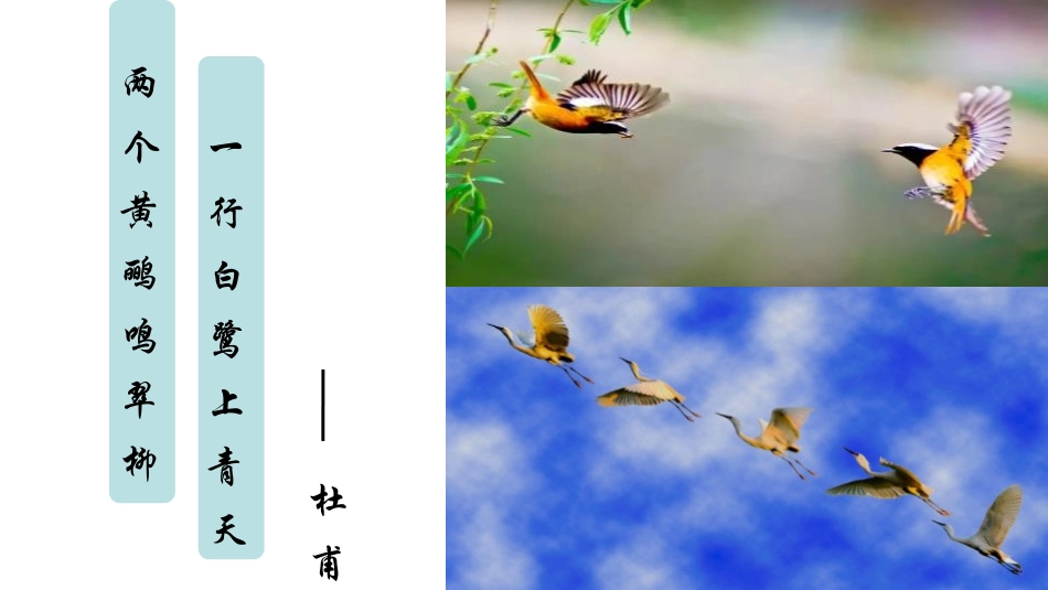 《动物在生物圈中的作用》PPT优质课件[北师大版八年级生物]_第2页