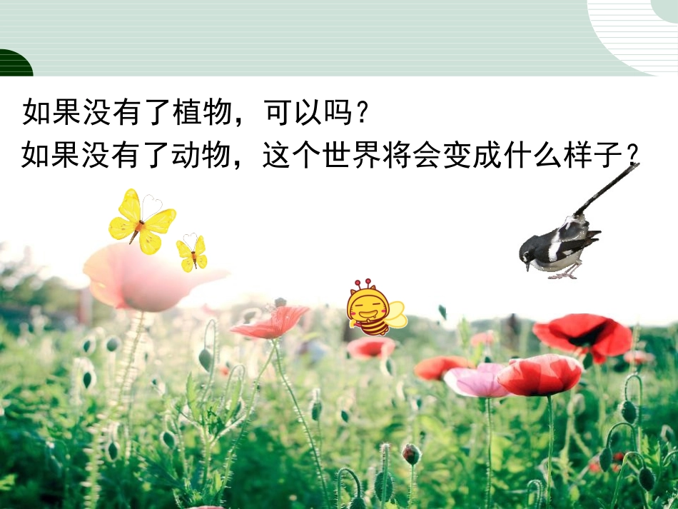 《动物在生物圈中的作用》PPT课件[北师大版八年级生物上册]_第2页