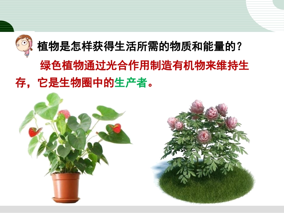 《动物在生物圈中的作用》PPT课件[北师大版八年级生物上册]_第3页