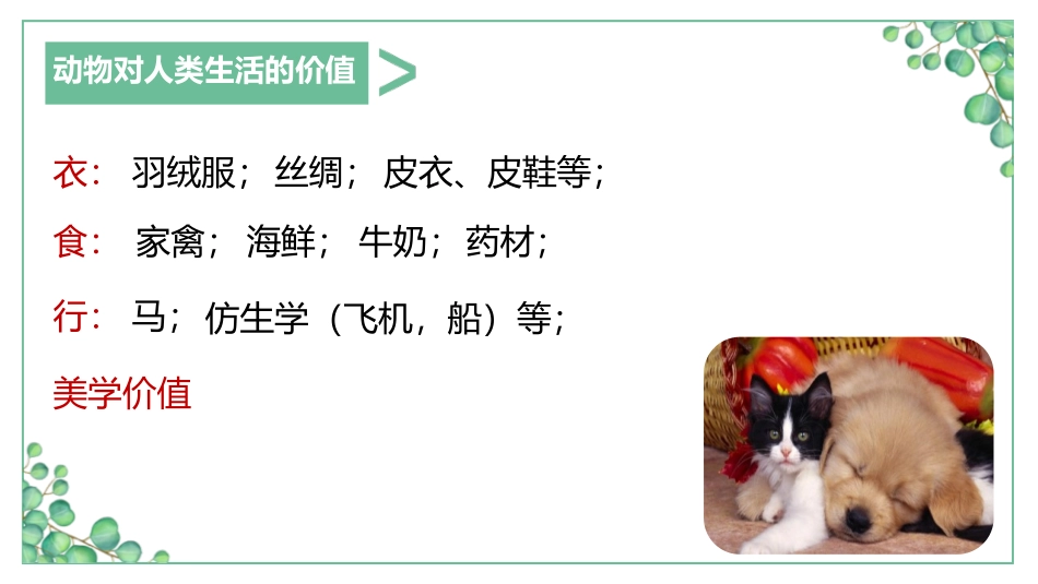 《我国的动物资源及保护》PPT教学课件[北师大版八年级生物]_第2页