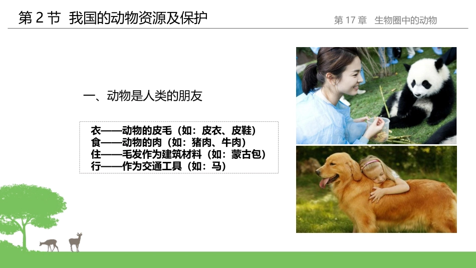 《我国的动物资源及保护》PPT课件[北师大版八年级生物上册]_第3页