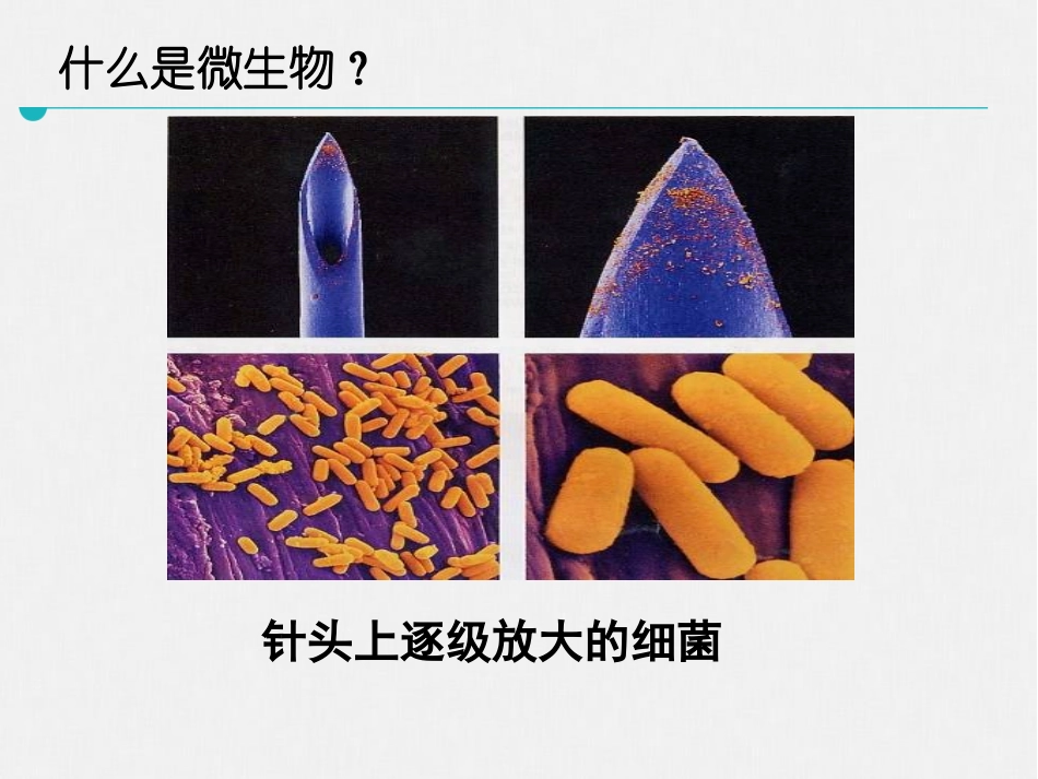 《微生物在生物圈中的作用》PPT(第2课时)PPT课件_第2页