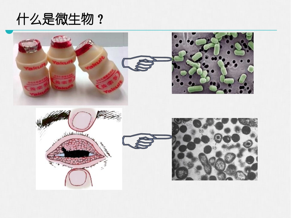 《微生物在生物圈中的作用》PPT(第2课时)PPT课件_第3页