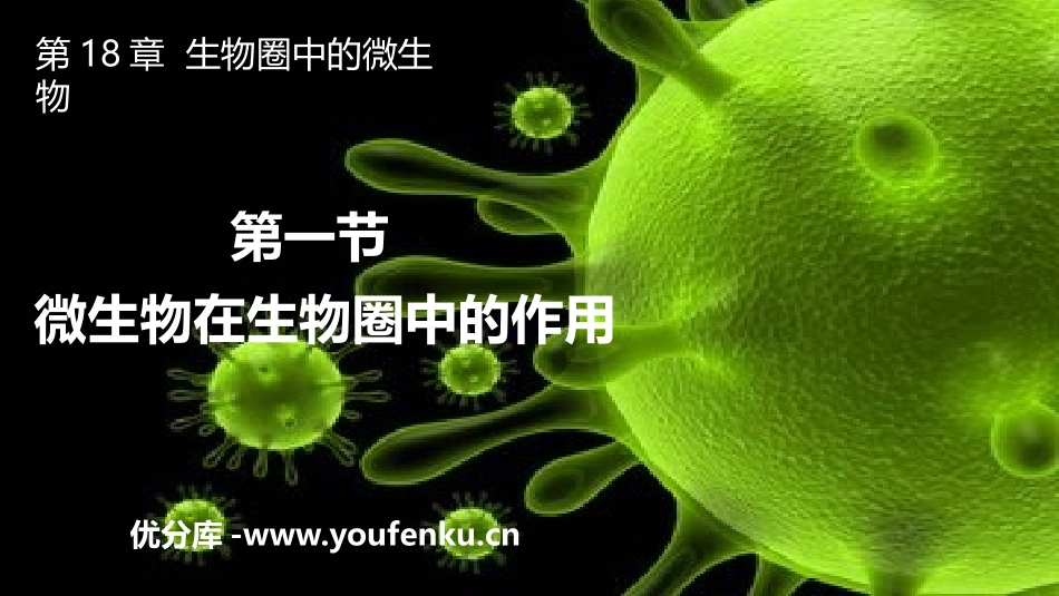 《微生物在生物圈中的作用》PPT教学课件(第3课时)_第1页