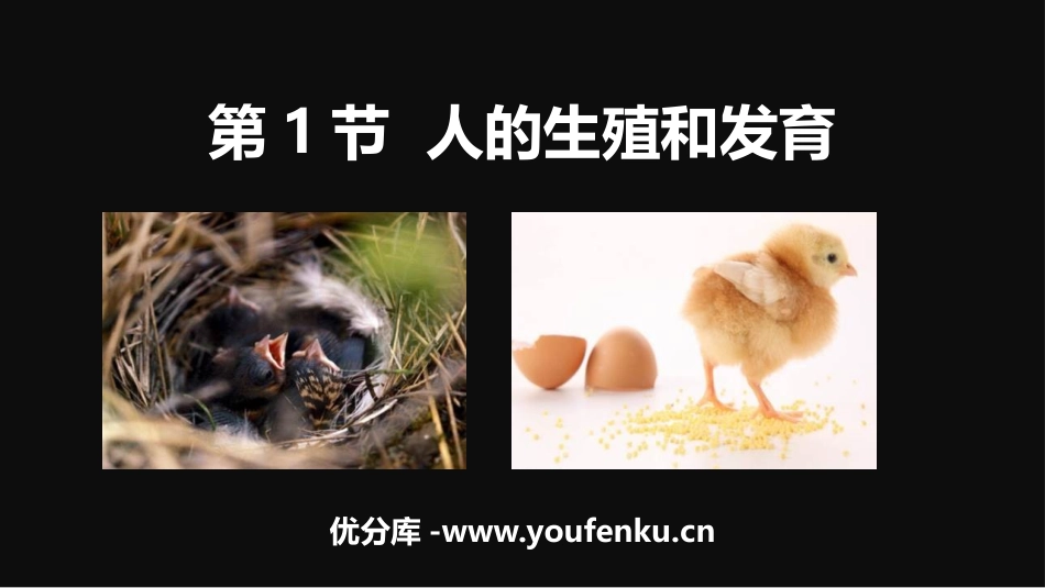 《人的生殖和发育》PPT教学课件[北师大版八年级生物上册]_第1页