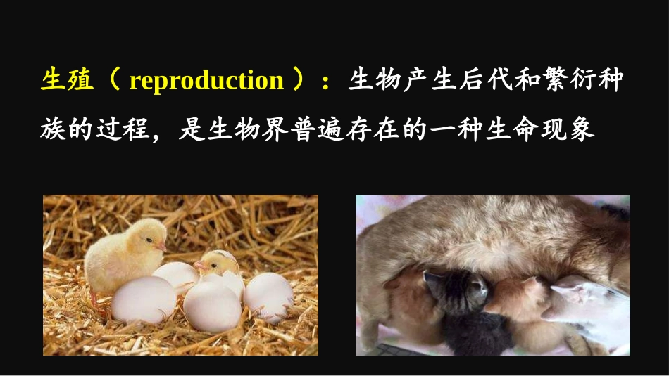 《人的生殖和发育》PPT教学课件[北师大版八年级生物上册]_第2页