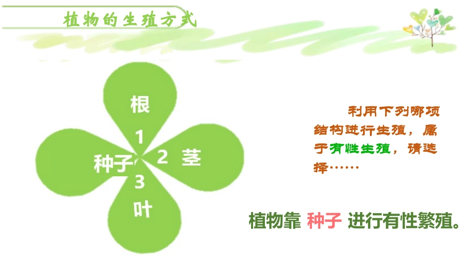 《植物的生殖方式》PPT课件[北师大版八年级生物上册]_第3页