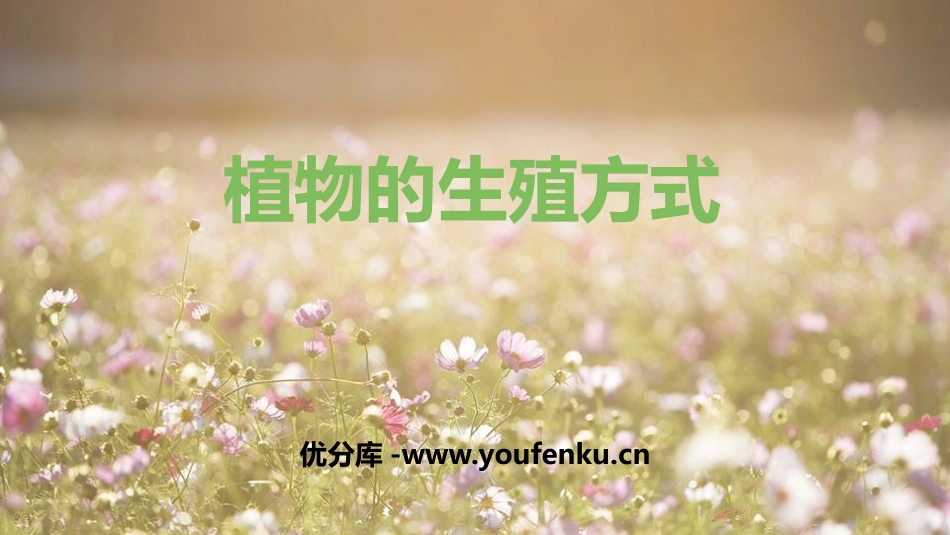 《植物的生殖方式》PPT教学课件[北师大版八年级生物上册]_第1页