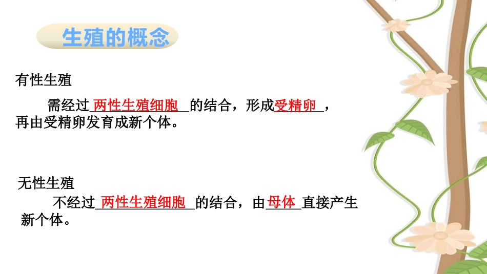 《植物的生殖方式》PPT教学课件[北师大版八年级生物上册]_第3页