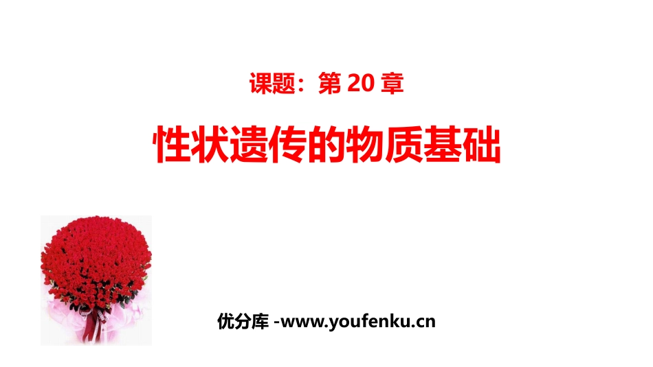 《性状遗传的物质基础》PPT课件[北师大版八年级生物上册]_第1页