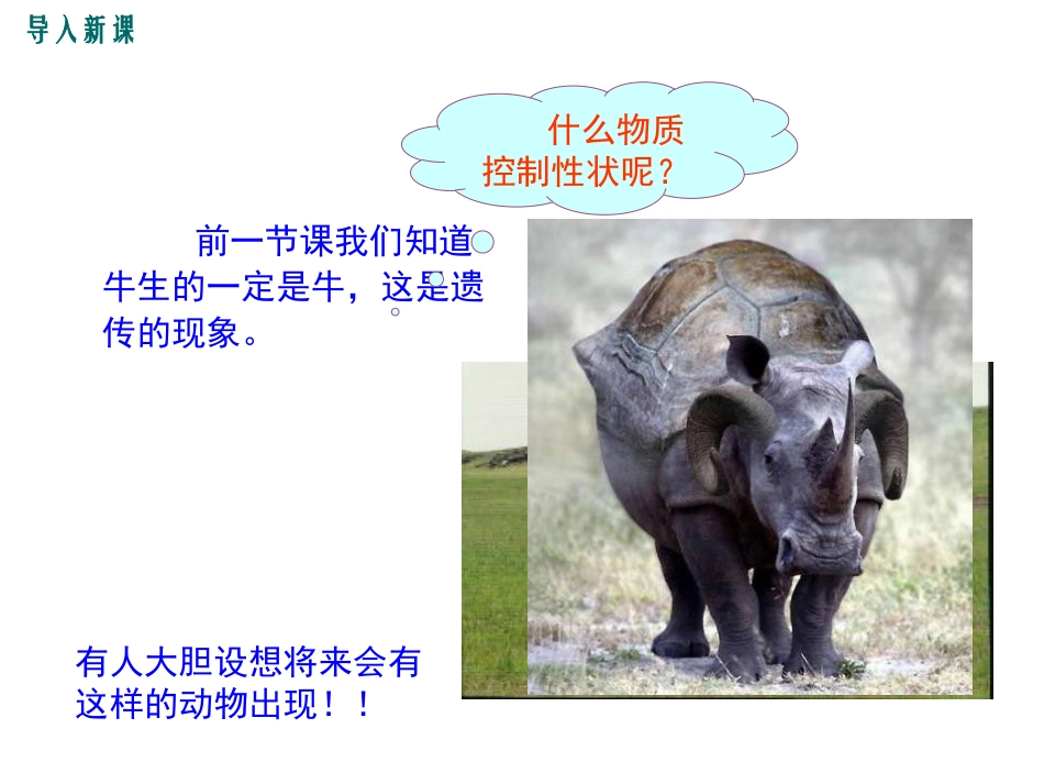 《性状遗传的物质基础》PPT教学课件[北师大版八年级生物]_第2页