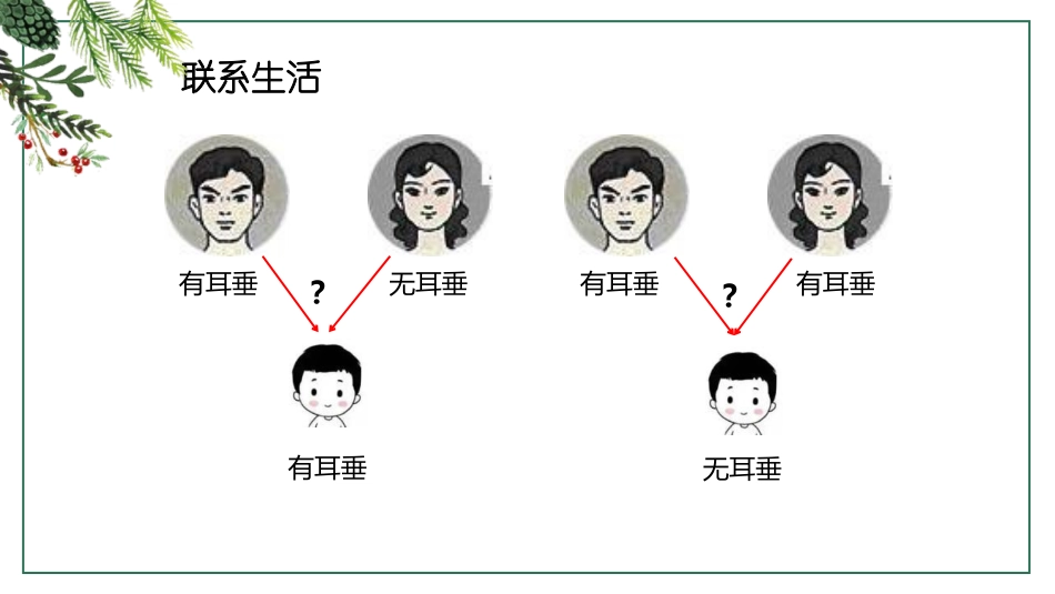 《性状遗传有一定的规律性》PPT教学课件[北师大版八年级生物]_第2页