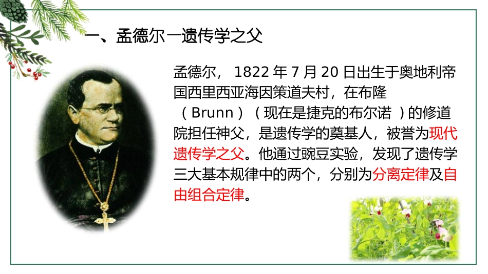 《性状遗传有一定的规律性》PPT教学课件[北师大版八年级生物]_第3页