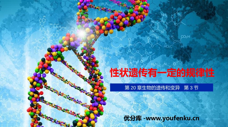 《性状遗传有一定的规律性》PPT课件[北师大版八年级生物]_第1页