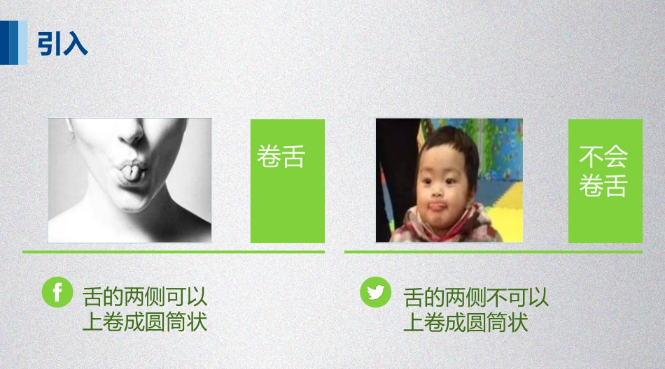 《性状遗传有一定的规律性》PPT课件[北师大版八年级生物]_第2页