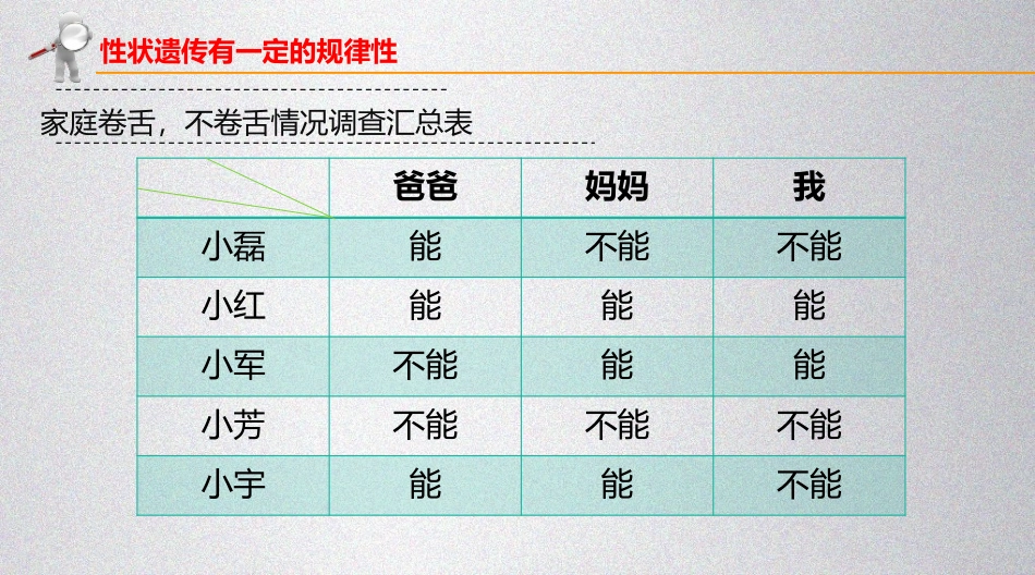 《性状遗传有一定的规律性》PPT课件[北师大版八年级生物]_第3页