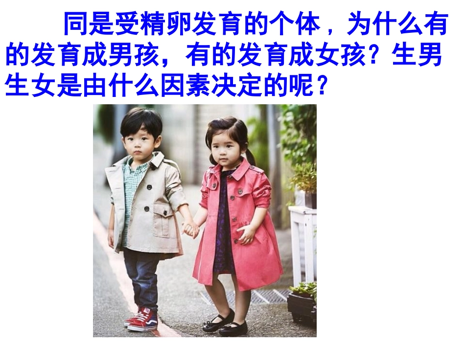 《性别和性别决定》PPT教学课件[北师大版八年级生物上册]_第3页