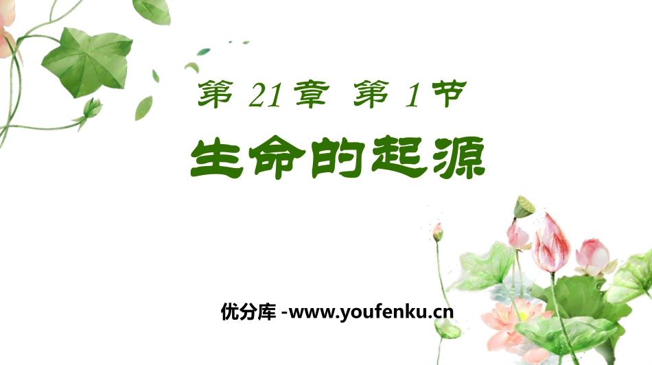 《生命的起源》PPT优秀课件[北师大版八年级生物下册]_第1页