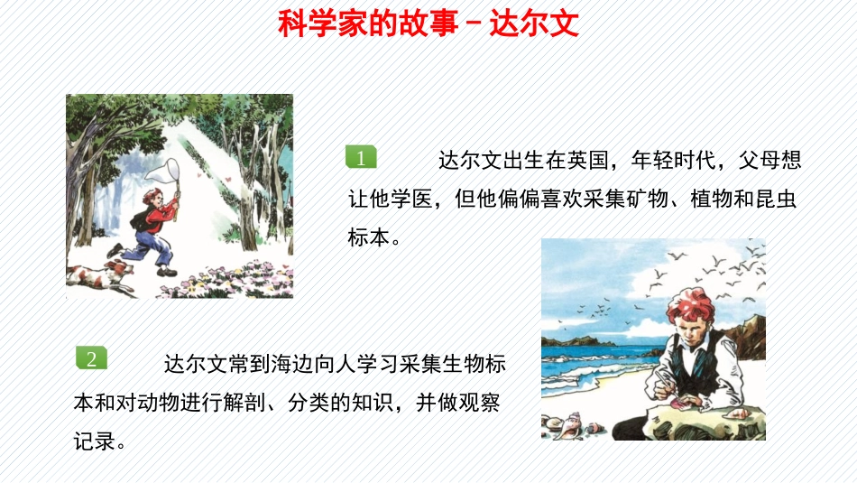 《生物的进化》PPT课件(第2课时)[北师大版八年级生物]_第2页