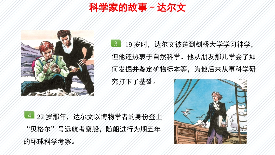 《生物的进化》PPT课件(第2课时)[北师大版八年级生物]_第3页