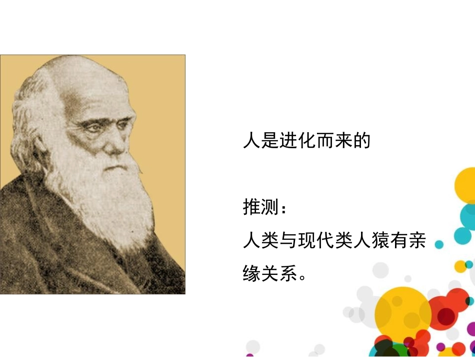 《人类的起源和进化》PPT精品课件[北师大版八年级生物下册]_第3页