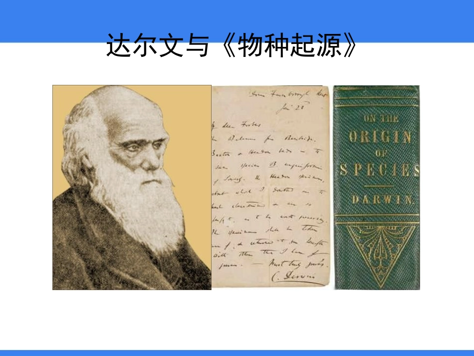 《人类的起源和进化》PPT免费课件[北师大版八年级生物下册]_第3页