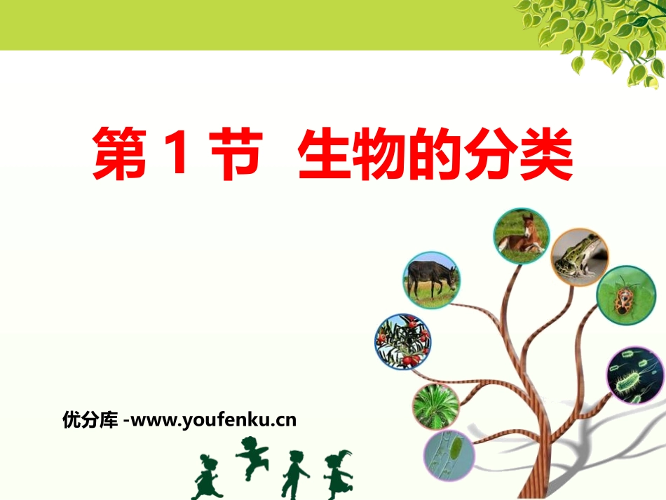 《生物的分类》PPT精品课件[北师大版八年级生物下册]_第1页