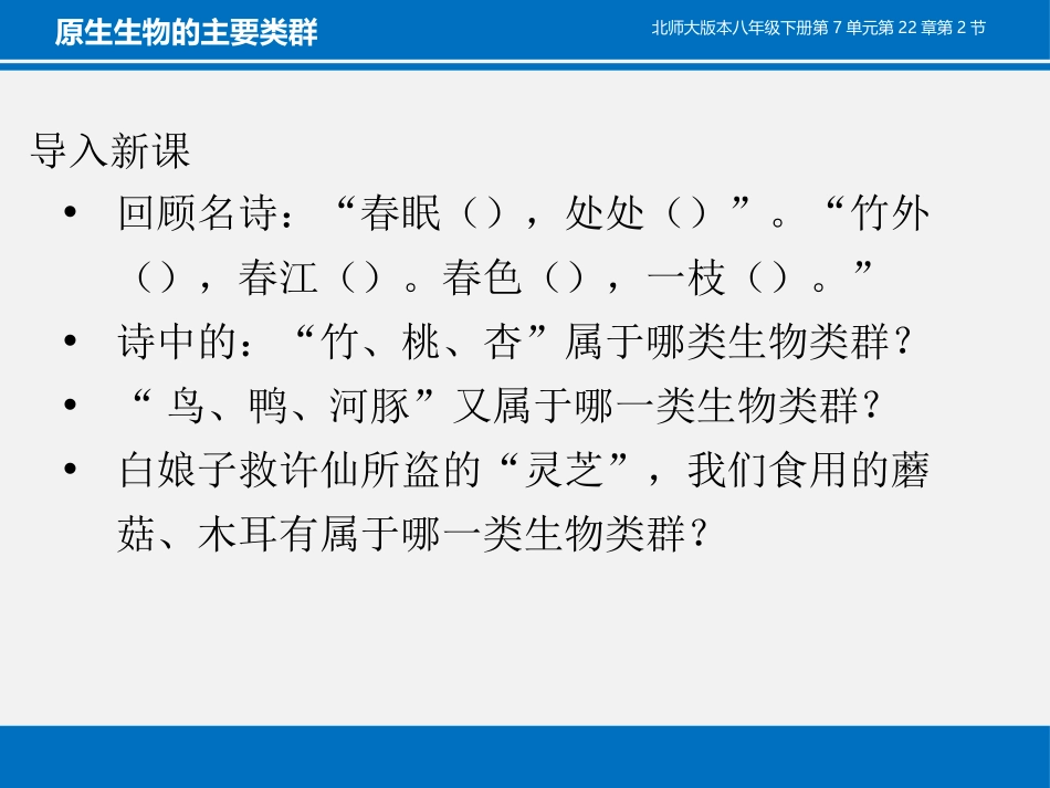 《原生生物的主要类群》PPT教学课件[北师大版八年级生物]_第2页