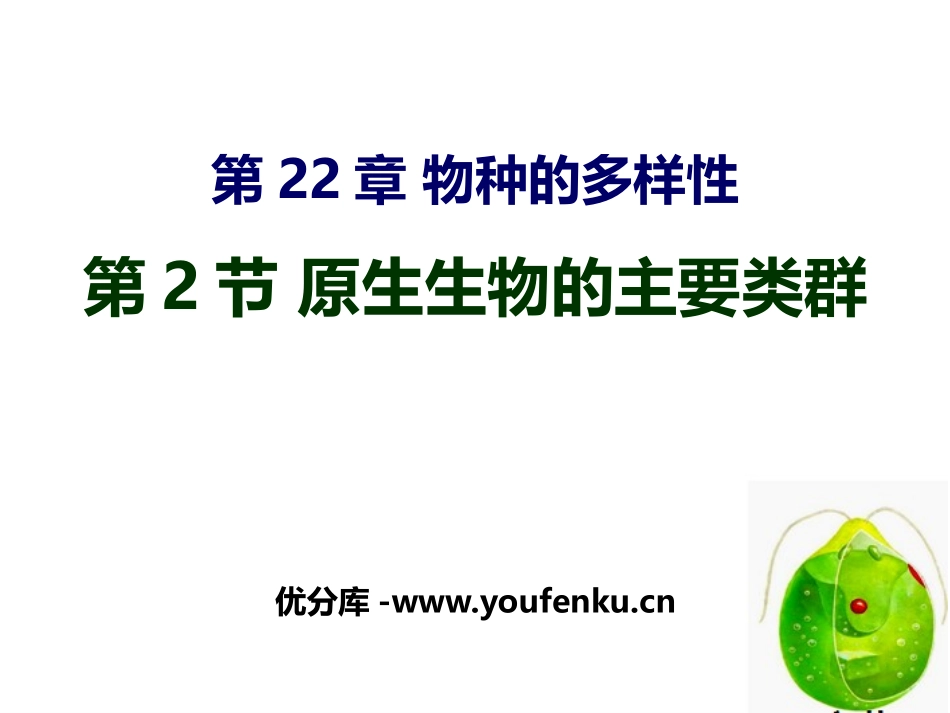 《原生生物的主要类群》PPT免费课件[北师大版八年级生物]_第1页