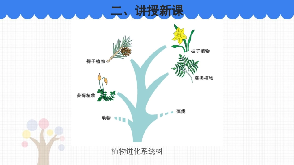 《植物的主要类群》PPT教学课件(第1课时)[北师大版八年级生物]_第2页