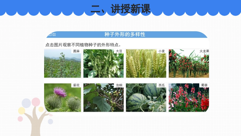 《植物的主要类群》PPT教学课件(第2课时)[北师大版八年级生物]_第2页
