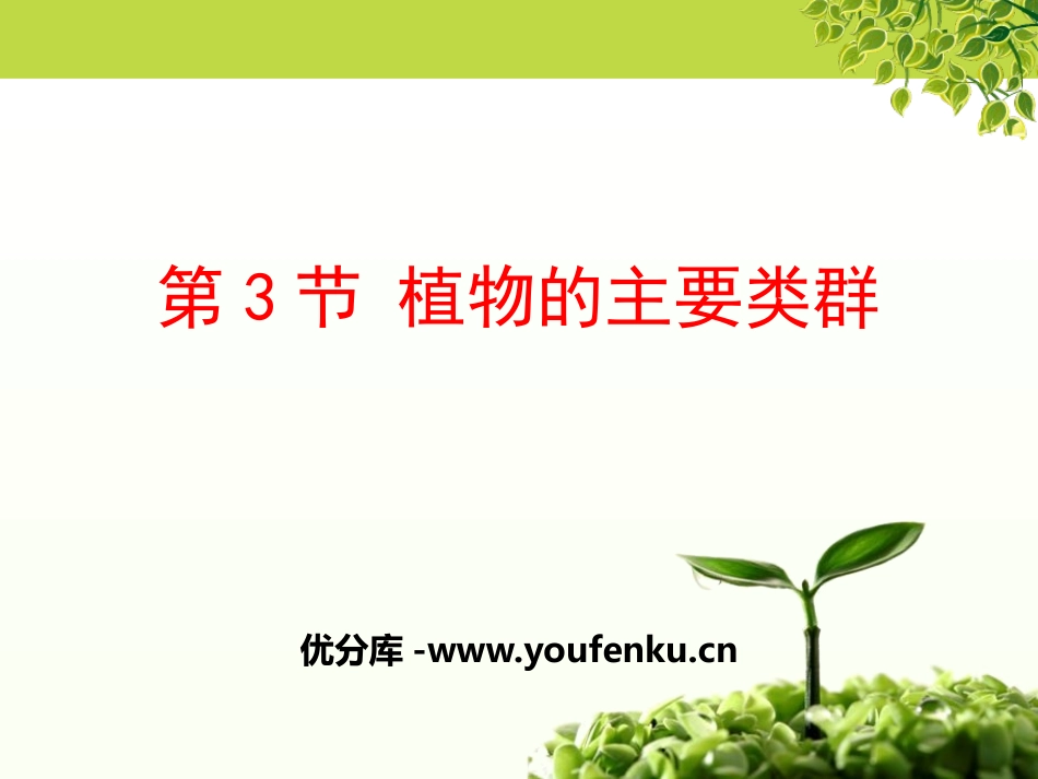 《植物的主要类群》PPT免费课件[北师大版八年级生物下册]_第1页