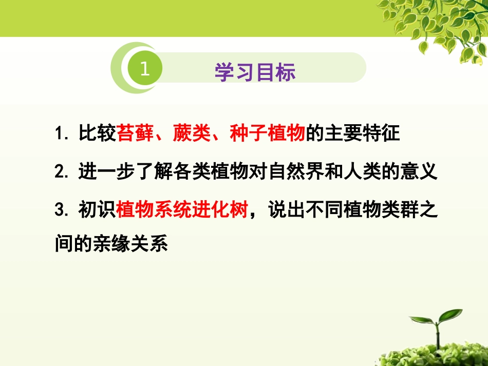 《植物的主要类群》PPT免费课件[北师大版八年级生物下册]_第2页