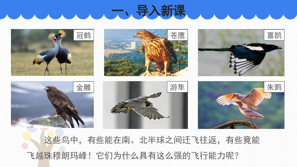 《动物的主要类群》PPT免费课件[北师大版八年级生物下册]_第2页