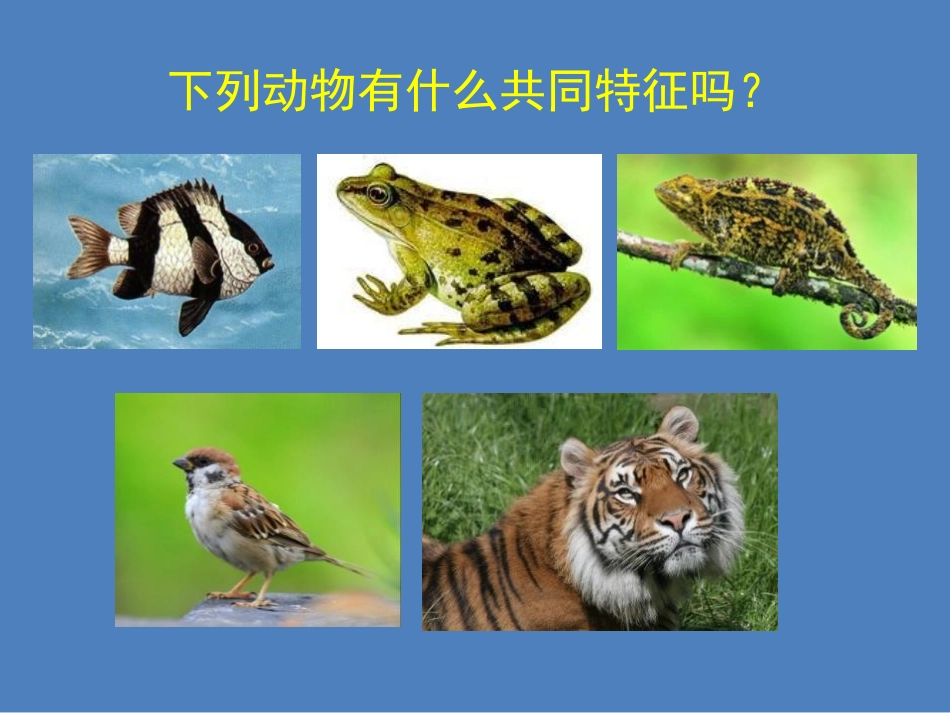 《动物的主要类群》PPT优秀课件[北师大版八年级生物下册]_第3页