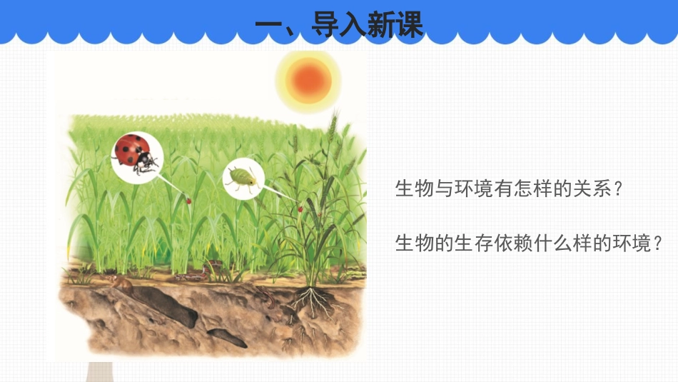 《生物的生存依赖一定的环境》PPT课件[北师大版八年级生物]_第2页