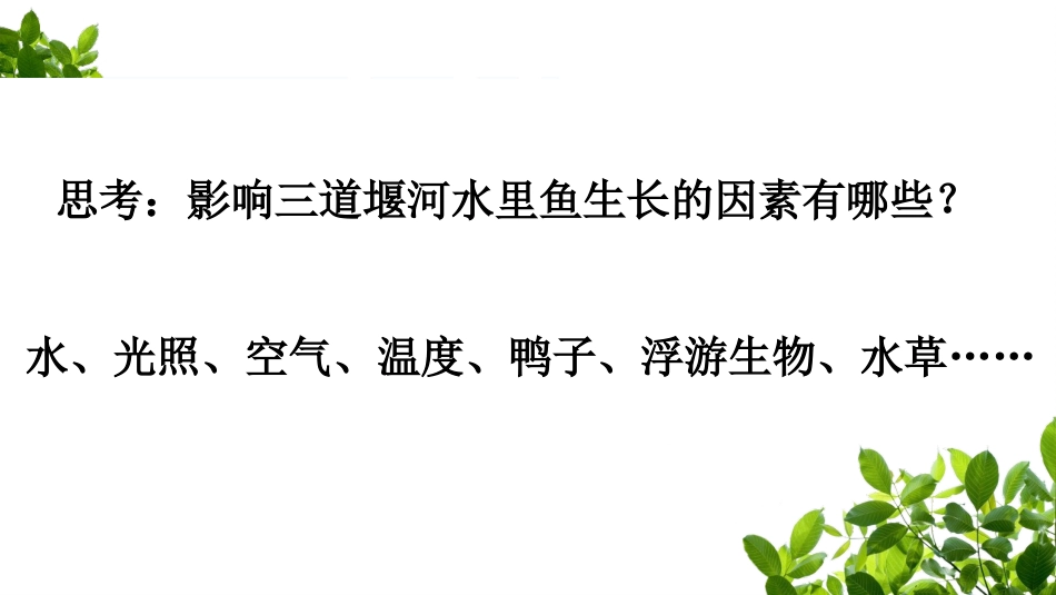 《生物的生存依赖一定的环境》PPT课件[北师大版八年级生物]_第3页
