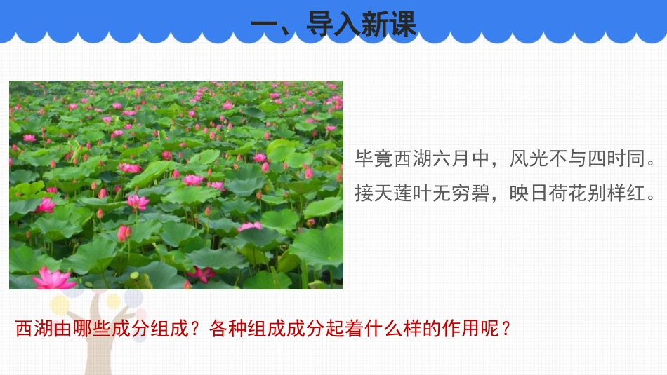《生态系统概述》PPT教学课件[北师大版八年级生物下册]_第2页